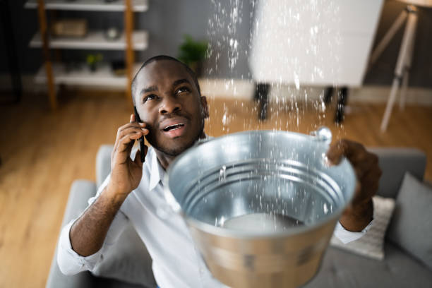 Best Commercial water damage restoration  in Ferndale, CA