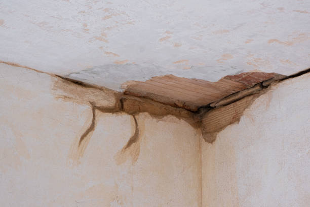 Best Flooded house restoration  in Ferndale, CA