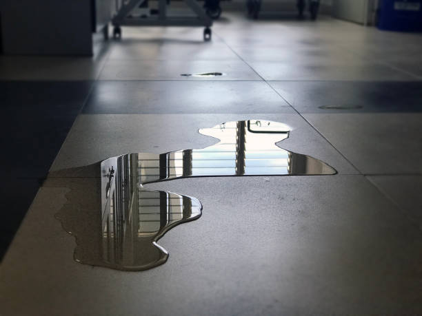 Best Water damage restoration specialists  in Ferndale, CA