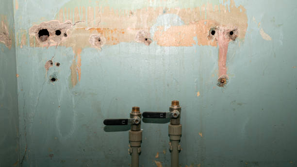 Best Water damage restoration cost  in Ferndale, CA