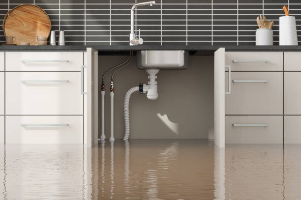 Best Ceiling water damage repair  in Ferndale, CA