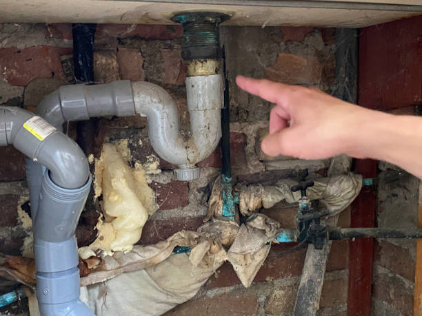 Best Residential water damage restoration  in Ferndale, CA
