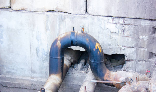 Best Basement water damage restoration  in Ferndale, CA