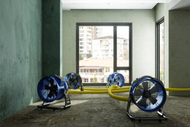 Best 24/7 water damage repair  in Ferndale, CA